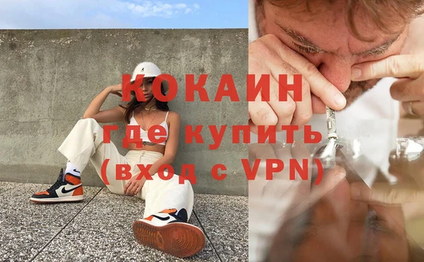 стафф Ладушкин
