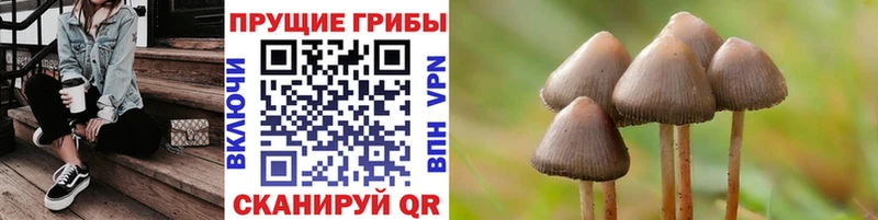 Галлюциногенные грибы прущие грибы  цена наркотик  Менделеевск 
