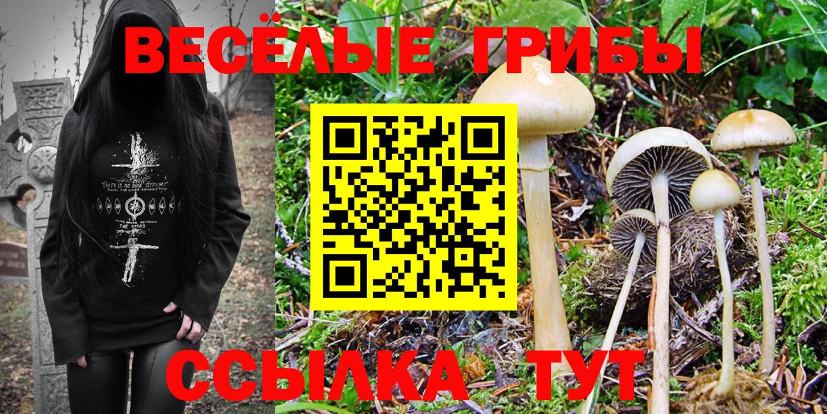 ГАШИШ Менделеевск